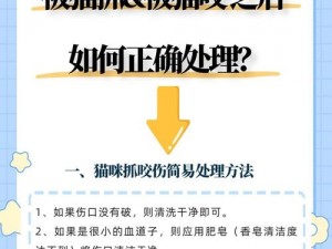 关于被猫咬后如何判断自己安全的实用指南