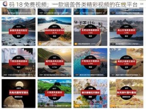 码 18 免费视频，一款涵盖各类精彩视频的在线平台