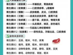 B 的几种类型图例——高效节能的优质产品