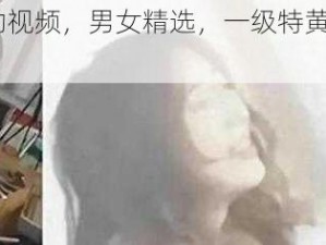 成人激情互动视频，男女精选，一级特黄无码毛片 av 一区二区