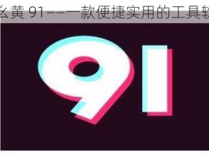 九幺黄 91——一款便捷实用的工具软件