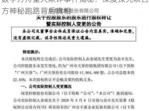 数字方舟重大欺诈事件揭秘：深度探究项目方神秘跑路背后真相