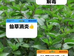 一起草(www,17c,com) 一起草(www,17c,com)，这是什么神仙网站？