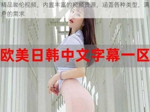 国产精品呦伦视频，内置丰富的视频资源，涵盖各种类型，满足不同用户的需求