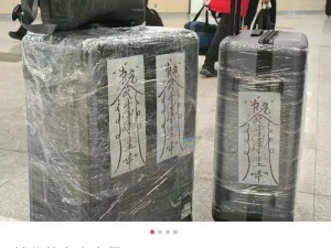 子神代表什么：网络热梗背后的神秘力量