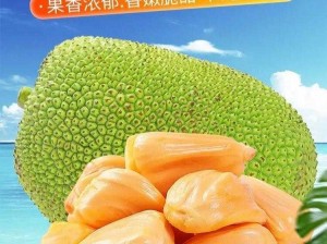 菠萝菠萝蜜在线观看 菠萝菠萝蜜在线观看：一场甜蜜的冒险之旅