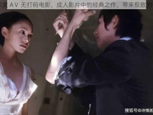 日本大尺度 AⅤ 无打码电影，成人影片中的经典之作，带来极致的视觉享受