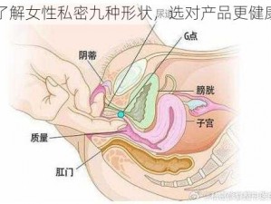 了解女性私密九种形状，选对产品更健康