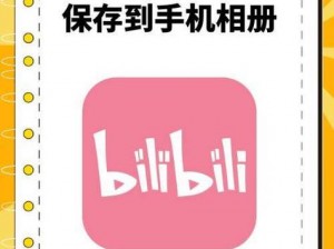 bilibili 视频——中国年轻世代高度聚集的文化社区和视频平台