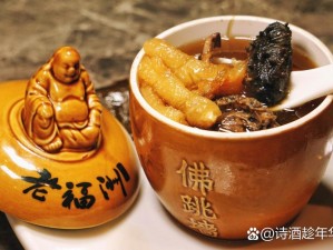 食物传奇：佛跳墙——品味多元文化融合盛宴，解锁佛跳墙独特烹饪技能一览