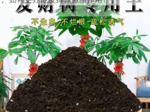 黑土本奖励专用在线【黑土本奖励专用在线，如何更好地发挥其激励作用？】