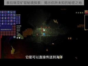 泰拉瑞亚矿锭秘境探索：揭示你所未知的秘密之地