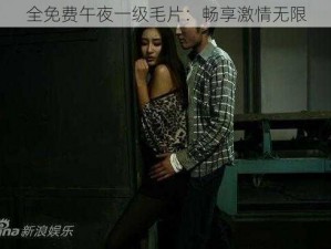 全免费午夜一级毛片：畅享激情无限