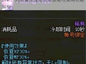 DNF：闪亮雷米援助获取攻略与实用功能解析