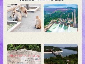 《重返猴岛：探索自然秘境的惊喜之旅——全平台价格一览》