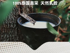 欧美性性性性XXXXOOOO 进口天然乳胶，抑菌防螨，舒适透气