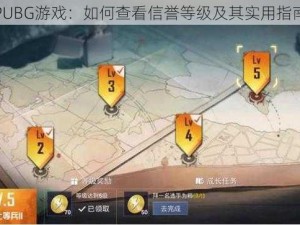 PUBG游戏：如何查看信誉等级及其实用指南