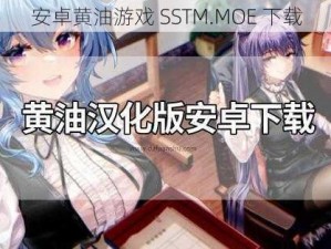 安卓黄油游戏 SSTM.MOE 下载