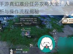 逆水寒手游真幻难分任务攻略大全：人间任务的深度解析与操作流程揭秘