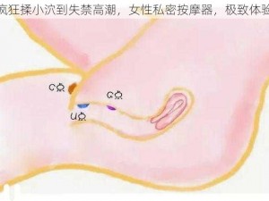 疯狂揉小泬到失禁高潮，女性私密按摩器，极致体验