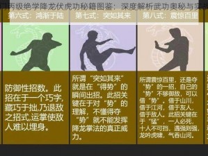 大掌门丙级绝学降龙伏虎功秘籍图鉴：深度解析武功奥秘与实战应用指南