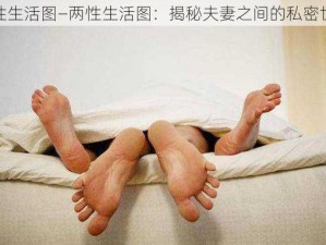 两性生活图—两性生活图：揭秘夫妻之间的私密世界