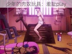 少年的肉奴玩具：羞耻play