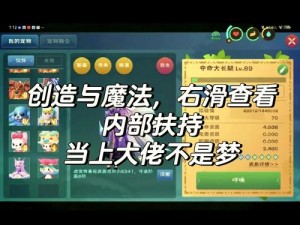 创造与魔法：魔法棒技能匹配指南——掌握魔法之力，施展独特技能之道