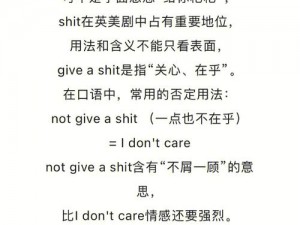 最囧游戏第六关通关攻略：玩转单词拼写，面对shit如何巧妙应对？