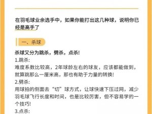 羽毛球高高手锦标赛冠军取胜的关键技巧解析：战略战术的运用与精湛技能的结合