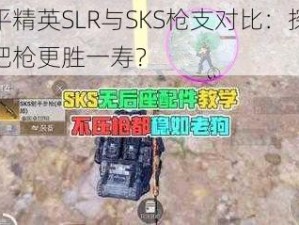 和平精英SLR与SKS枪支对比：探究哪把枪更胜一寿？