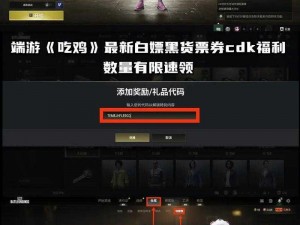 国服绝地求生与Steam版饰品互通性解析：游戏内外饰品流通与同步探讨