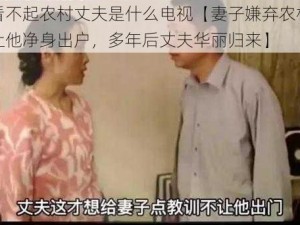 妻子看不起农村丈夫是什么电视【妻子嫌弃农村丈夫，竟让他净身出户，多年后丈夫华丽归来】