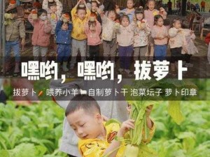 养生拔萝卜是拔哪里的？这里有你想要的答案