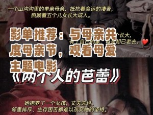 漂亮妈妈电视剧以母爱为主题的感人故事