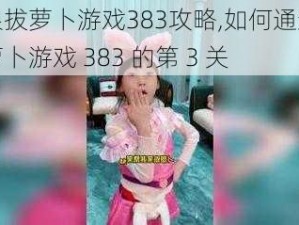 和猫娘拔萝卜游戏383攻略,如何通过和猫娘拔萝卜游戏 383 的第 3 关