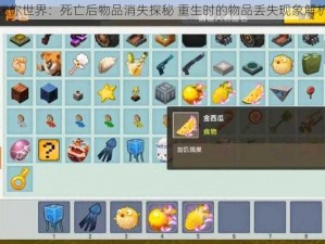 迷你世界：死亡后物品消失探秘 重生时的物品丢失现象解析