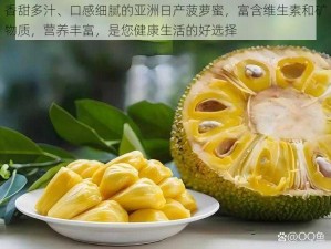 香甜多汁、口感细腻的亚洲日产菠萝蜜，富含维生素和矿物质，营养丰富，是您健康生活的好选择