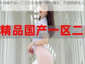 2024 国精产品一二三四区新增一对一模式，打造极致私人专属体验