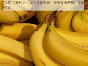 国产香蕉 97碰碰久久人人观看记录：最新高清无码，海量资源免费观看