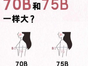 b 大与小的区别在哪里？b 大与小的区别在哪里？