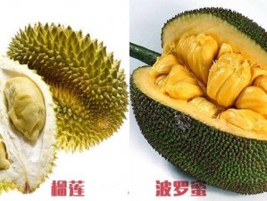 香蕉丝瓜草莓樱桃草莓榴莲【在这些水果中，你最喜欢哪种？】