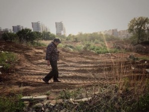 女子用五年时间耕了母亲荒废的土地