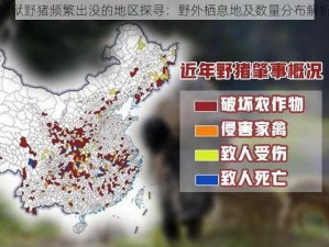 地狱野猪频繁出没的地区探寻：野外栖息地及数量分布解析