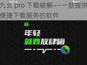 九幺 pro 下载破解——一款提供便捷下载服务的软件