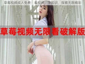 草莓视频成人免费：看视频，学知识，探索无限精彩