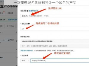 一款实现域名跳转到另外一个域名的产品