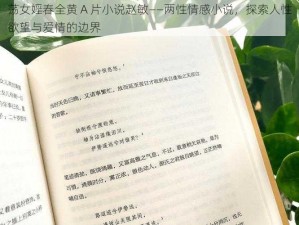 荡女婬春全黄 A 片小说赵敏——两性情感小说，探索人性欲望与爱情的边界