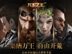 万王之王3D圣者职业全方位攻略：技巧、战术与提升指南大全