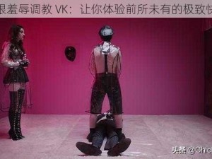 极限羞辱调教 VK：让你体验前所未有的极致快感